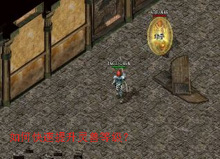 如何快速提升灵兽等级? 如何快速提升灵兽等级?