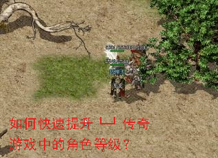 如何快速提升└┘传奇游戏中的角色等级? 如何快速提升└┘传奇游戏中的角色等级?