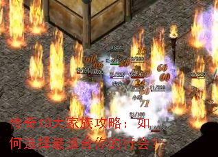 ����10����幥�ԣ����ѡ�����ʺ�����л᣿