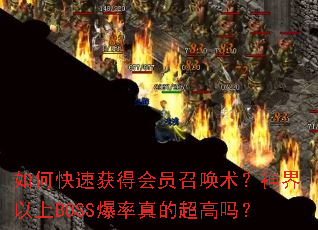 ��ο��ٻ�û�Ա�ٻ������������BOSS������ĳ�����