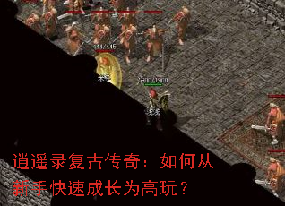 ��ң¼���Ŵ��棺��δ����ֿ��ٳɳ�Ϊ���棿