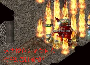 Զ�ų�ɫװ����λ��9�����ǰ׺��