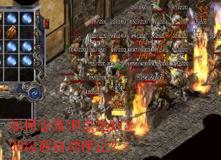 如何设置泡点达到300级后自动停止? 如何设置泡点达到300级后自动停止?