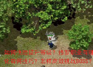 ��ο��������ȼ�������ְҵ����Щ���ļ��ܣ�װ����ȡ��ǿ���кμ��ɣ�������Ч��սBOSS���Ŷ���ս�����ϣ�