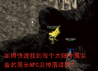 ��ο����ҵ�ÿ����½ר��װ����չʾNPC���������飿