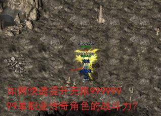 ��ο�����������99999999��ְҵ�����ɫ��ս������