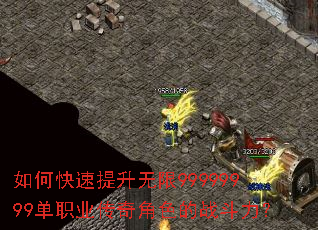 ��ο�����������99999999��ְҵ�����ɫ��ս������