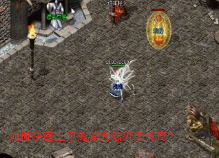 ��ο������ֹ�����½���촫�棿