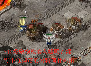 310�����������ϰ�����ҰС�ֵ���Ĳ�����ʲô�ã�