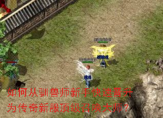 ��δ�ѱ��ʦ���ֿ��ٽ���Ϊ�����·������ٻ���ʦ��