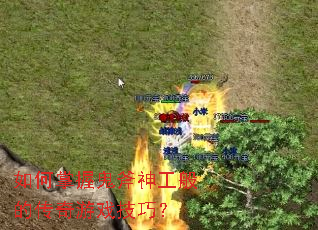 ������չ����񹤰�Ĵ�����Ϸ���ɣ�