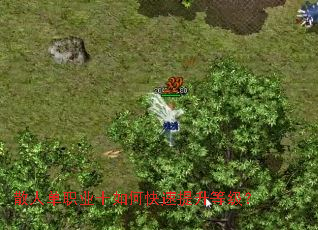 ɢ�˵�ְҵʮ��ο��������ȼ���