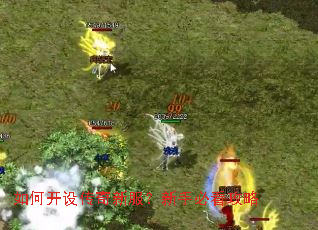 ��ο��贫���·������ֱؿ�����