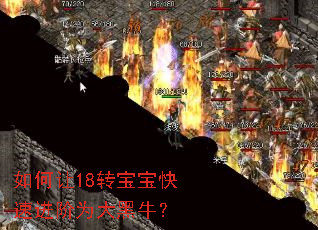 如何让18转宝宝快速进阶为大黑牛? 如何让18转宝宝快速进阶为大黑牛?