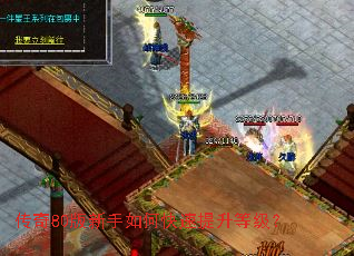 传奇80版新手如何快速提升等级? 传奇80版新手如何快速提升等级?