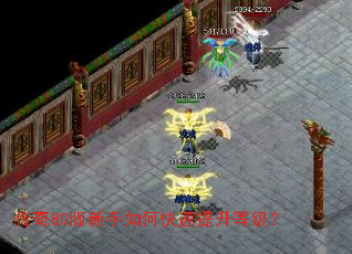 传奇80版新手如何快速提升等级? 传奇80版新手如何快速提升等级?