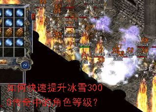 ��ο���������ѩ3000�����еĽ�ɫ�ȼ���