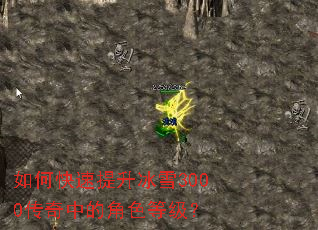 ��ο���������ѩ3000�����еĽ�ɫ�ȼ���