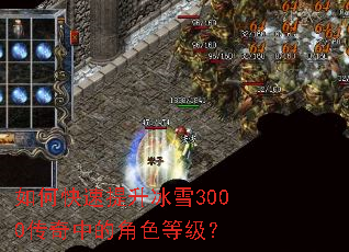 ��ο���������ѩ3000�����еĽ�ɫ�ȼ���