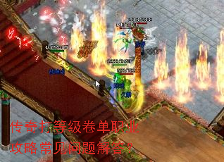 �����ȼ�����ְҵ���Գ���������