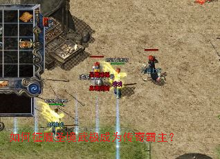 �������ʥ���伫��Ϊ���������