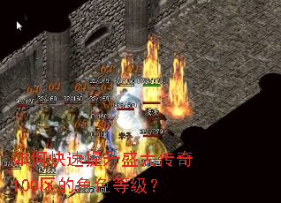 如何快速提升盛大传奇100区的角色等级? 如何快速提升盛大传奇100区的角色等级?