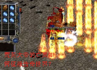 ���ߴ�۵�������������������磿