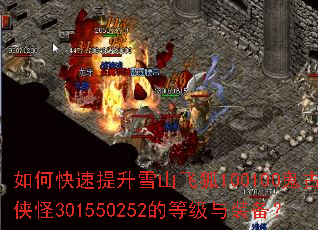 ��ο�������ѩɽ�ɺ�100100����֮����301550252�ĵȼ���װ����