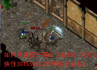 ��ο�������ѩɽ�ɺ�100100����֮����301550252�ĵȼ���װ����