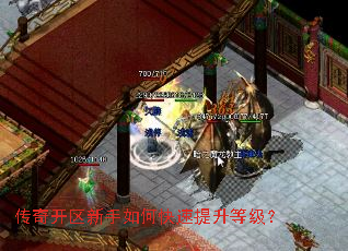 ���濪��������ο��������ȼ���