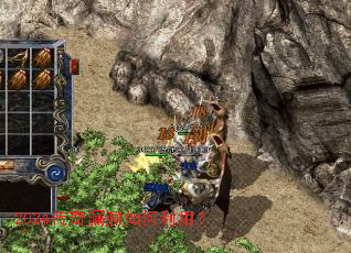 2024����©��������ã�