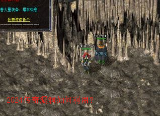 2024����©��������ã�