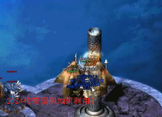 2024����©��������ã�