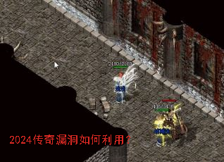 2024����©��������ã�