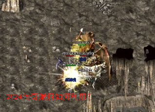 2024����©��������ã�