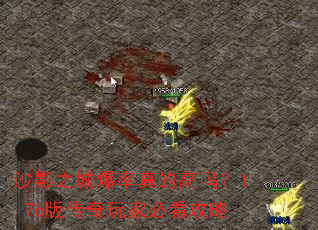 ɳӰ֮�Ǳ�����ĸ���1.76�洫����ұؿ�����