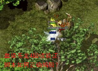 ѪȾ����4������֤�ű������ȷ�༭��