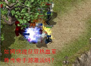 ��ο��ٻ�ȡ��Ѫ���������μ����룿