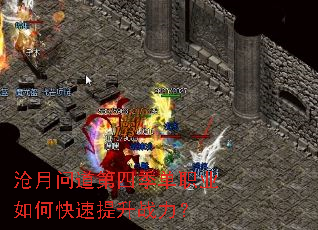 �����ʵ����ļ���ְҵ��ο�������ս����