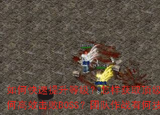 ��ο��������ȼ���������ȡ����װ������θ�Ч����BOSS���Ŷ���ս�кμ��ɣ�