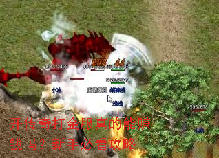 ��������������׬Ǯ�����ֱؿ�����