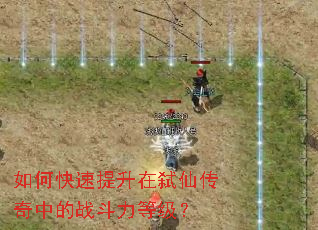 ��ο���������߱�ɴ����е�ս�����ȼ���