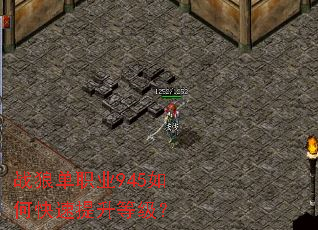 ս�ǵ�ְҵ945��ο��������ȼ���