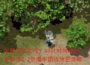 ��θ�Чˢ�֣�30ֻʱ��40�����¹�2.2��������ս��ͼ����