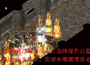 ���ͨ���ؽ�Ͷ����촿��ɫ���汣ֵ����ְҵ�������棬ʵ�ֳ��ڼ��������淨��