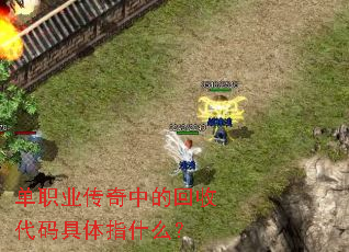 ��ְҵ�����еĻ��մ������ָʲô��