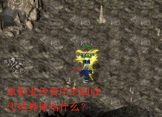 ��ְҵ�����еĻ��մ������ָʲô��