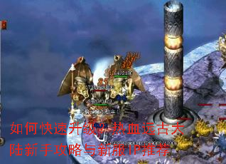 如何快速升级?热血远古大陆新手攻略与新服IP推荐 如何快速升级?热血远古大陆新手攻略与新服IP推荐