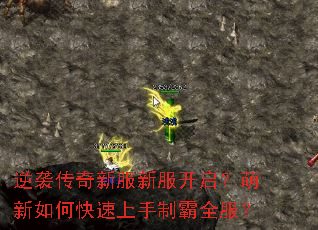 逆袭传奇新服新服开启?萌新如何快速上手制霸全服? 逆袭传奇新服新服开启?萌新如何快速上手制霸全服?