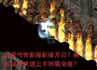 逆袭传奇新服新服开启?萌新如何快速上手制霸全服? 逆袭传奇新服新服开启?萌新如何快速上手制霸全服?